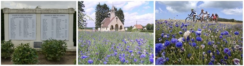 De gauche à droite :Cimetière français de Cerny-en-Laonnois (© Catherine Gary); Le petit village de Cerny-en-Laonnoy et ses champs de bleuets (© DR); Les coureurs du Tour de France sur la route du Chemin des dames on rendu hommage aux "Bleuets" de la Grande Guerre en arborant un bleuet sur leur maillot (© DR)