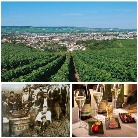 En haut : Vue d'ensemble sur les vignobles d'Epernay (© CRTCA); Les vendanges en 1912 dans les vignobles du Champagne de Telmont (© DR); Dégustation de la diversité des champagnes locaux, accompagnés d’un éventail de savoureux mets locaux.(© Catherine Gary)