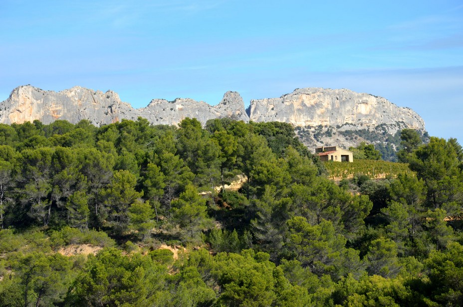 Depuis les vignobles de Beaumes de Venise vue sur les dentelles de Montmirail. @Ventoux Provence Tourisme