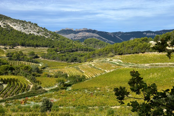 Sur la route du domaine de Durban  @Ventoux Provence Tourisme