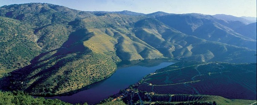En train ou en bateau, il est facile de se rendre jusque dans la vallée du Douro, inscrite au Patrimoine mondial de l'Unesco (Crédit photo DR)
