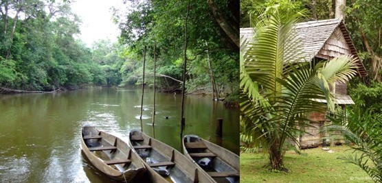 Côté loisirs, des guides spécialisés vous amènent en balade dans la forêt amazonienne, à pied ou en pirogue, à la rencontre d’une faune et d’une flore préservées et exceptionnelles (Crédit photos DR et Yann Menguy) Côté loisirs, des guides spécialisés vous amènent en balade dans la forêt amazonienne, à pied ou en pirogue, à la rencontre d’une faune et d’une flore préservées et exceptionnelles (Crédit photos DR et Yann Menguy)