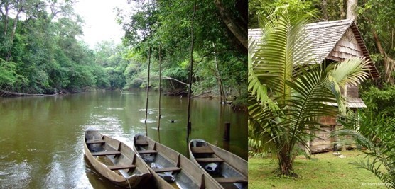 Côté loisirs, des guides spécialisés vous amènent en balade dans la forêt amazonienne, à pied ou en pirogue, à la rencontre d’une faune et d’une flore préservées et exceptionnelles (Crédit photos DR et Yann Menguy)