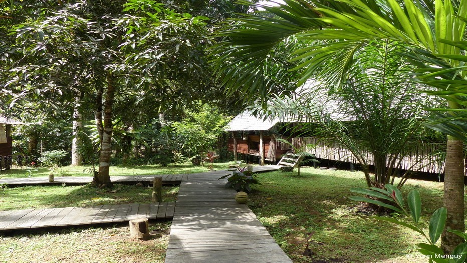 Au cœur de la fôret amazonienne, au bord du fleuve Kourou, le « Wapa Lodge » est un vrai paradis pour s'évader hors du temps.(Crédit photo Yann Menguy) Au cœur de la fôret amazonienne, au bord du fleuve Kourou, le « Wapa Lodge » est un vrai paradis pour s'évader hors du temps.(Crédit photo Yann Menguy)