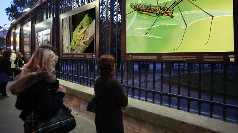 Exposition sur les grilles du jardin du Luxembourg  des photos Hyper Nature du naturaliste et photographe Philippe Martin : Hyper Nature. Jusqu'au18 Janvier 2015.(Crédit photo DR)