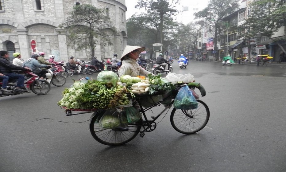 Il est courant de rencontrer en pleine ville d'Hanoï ces vélos chargés de légumes cultivés dans les campagnes avoisinantes (Crédit photo www.monique-abellard.fr)