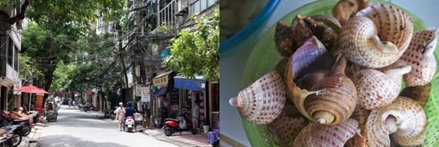 Dans le quartier de la gare centrale, nous nous sustentons dans un restaurant haut en couleur,  Je commande des escargots de rizière à la banane verte et aux tranches de tofu frites, dans une sauce au curcuma frais, bien relevée. ( Crédit photos Yves Rinauro)