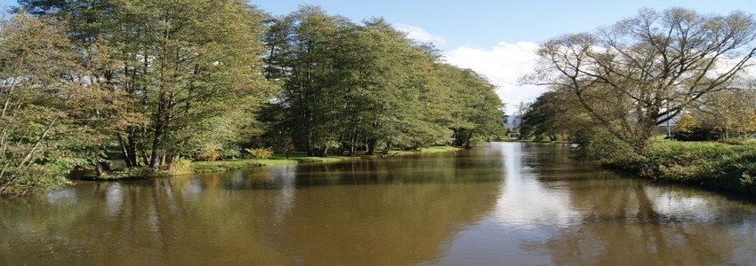 La Meurthe, une rivière qui traverse le centre de la ville de Saint-Dié-des-Vosges (Crédit Photo DR)