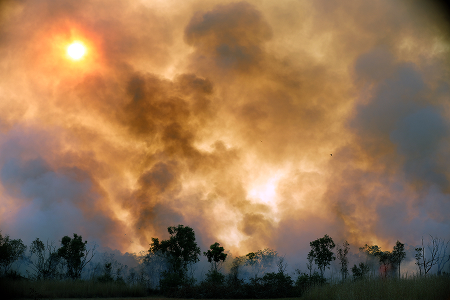 . Le 20 décembre 2019, un feu d’une puissance inédite avait balayé l'île pendant dix jours, brûlant plus de 200 000 hectares et tuant des dizaines de milliers d’animaux.Crédit photos : Patrick Cros . Le 20 décembre 2019, un feu d’une puissance inédite avait balayé l'île pendant dix jours, brûlant plus de 200 000 hectares et tuant des dizaines de milliers d’animaux.Crédit photos : Patrick Cros