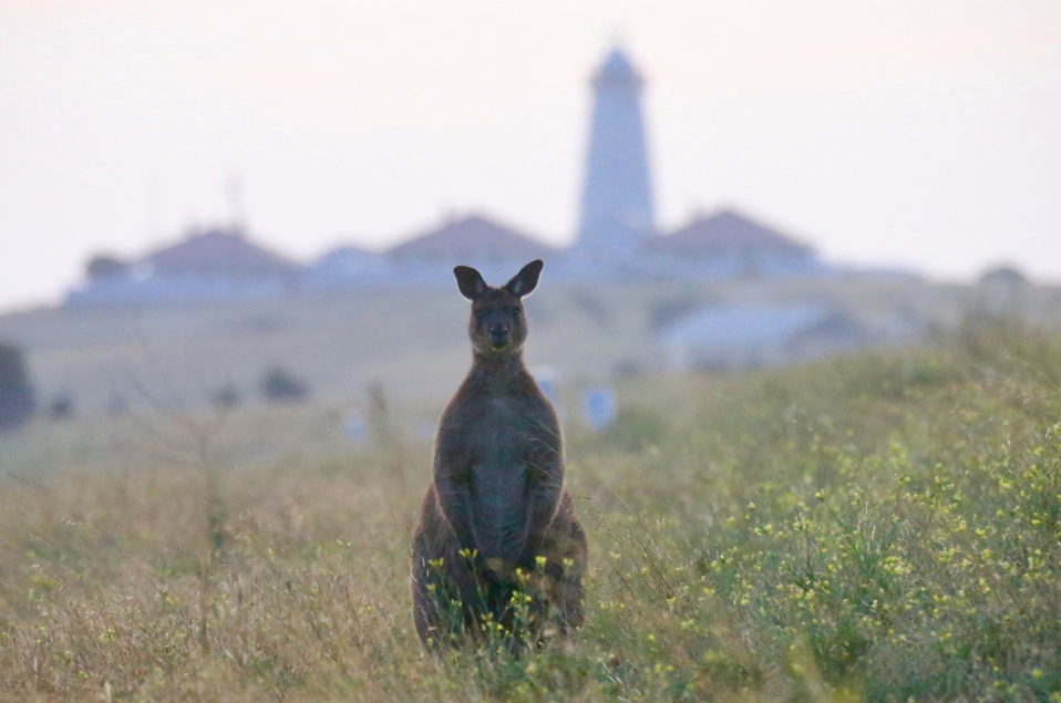 Crédit photos : Patrick Cros Crédit photos : Patrick Cros