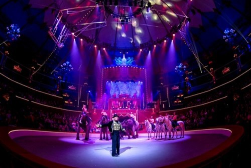 Avec des places allant de 10 à 40 euros, le cirque reste l’un des spectacles tous publics le moins cher.(Crédit photo Cirque Bouglione Spectacle " Géant " - Dominique Secher 2014)