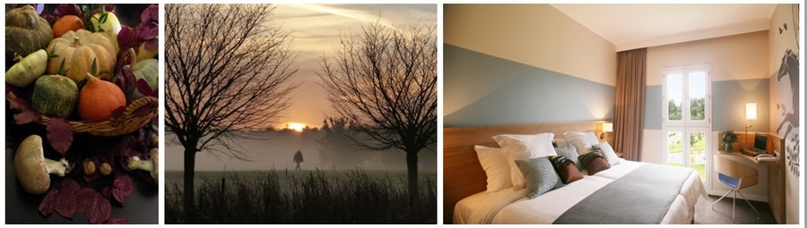 Panier de produits frais pour l'atelier de cuisine (Crédit photo Catherine Gary); Vue sur le golf au petit matin depuis la chambre (Crédit photo Catherine Gary);Les chambres calmes et contemporaines et leur déco hippique (Crédit Photo Dolce Chantilly)