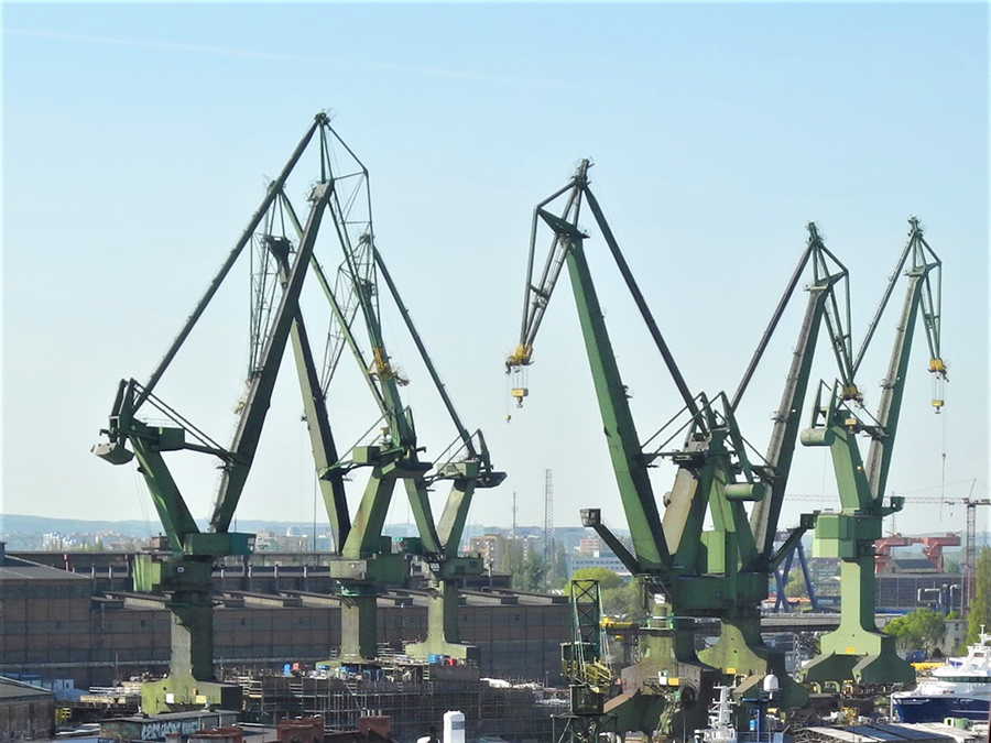 La flèche d’une grue, au vert émeraude, émerge d’un feuillage plus discret @ Claude Vautrin.