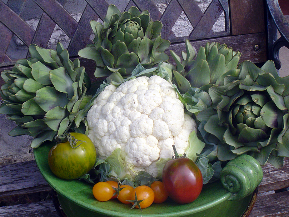 Légumes du marais @ André Degon