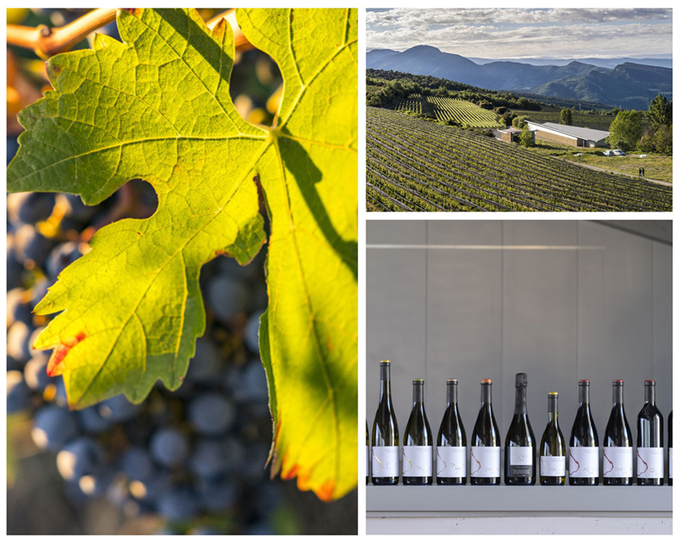 Accord mets et vins ! Le palace barcelonais lance des dîners bimestriels qui inversent la formule traditionnelle : c’est le menu qui est élaboré en fonction d’une sélection de vins d'un domaine viticole de premier plan @ Carlos Sanchez Pereyra Accord mets et vins ! Le palace barcelonais lance des dîners bimestriels qui inversent la formule traditionnelle : c’est le menu qui est élaboré en fonction d’une sélection de vins d'un domaine viticole de premier plan @ Carlos Sanchez Pereyra