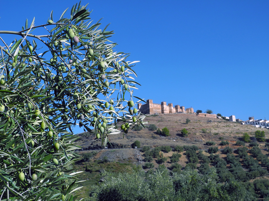 Baños de la Encina, le château médiéval- Baños de la Encina, le château médiéval @ Claude Vautrin Baños de la Encina, le château médiéval- Baños de la Encina, le château médiéval @ Claude Vautrin