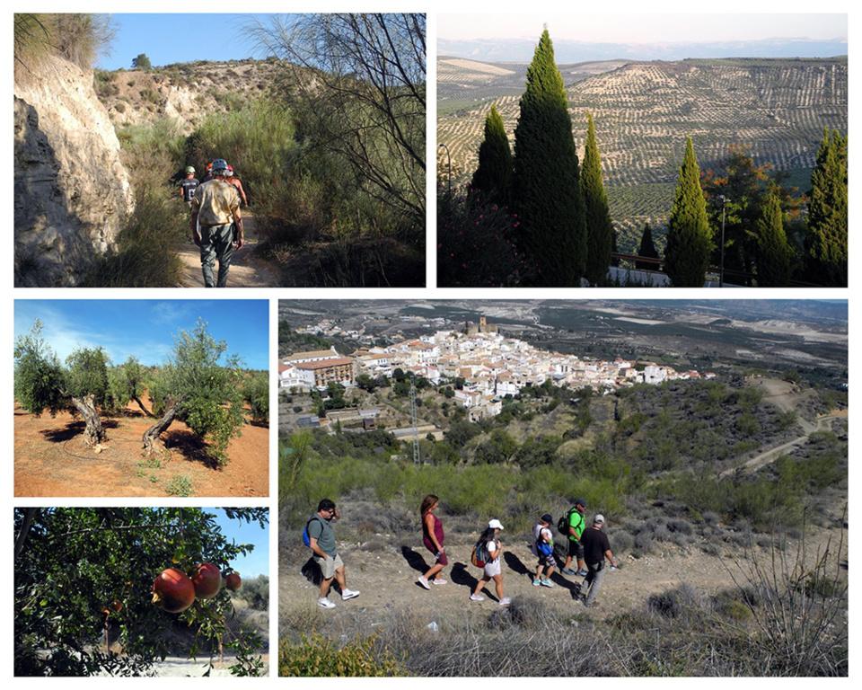 Andalousie - 2023 Sierra de Los Filabres Seron @ Claude Vautrin Andalousie - 2023 Sierra de Los Filabres Seron @ Claude Vautrin