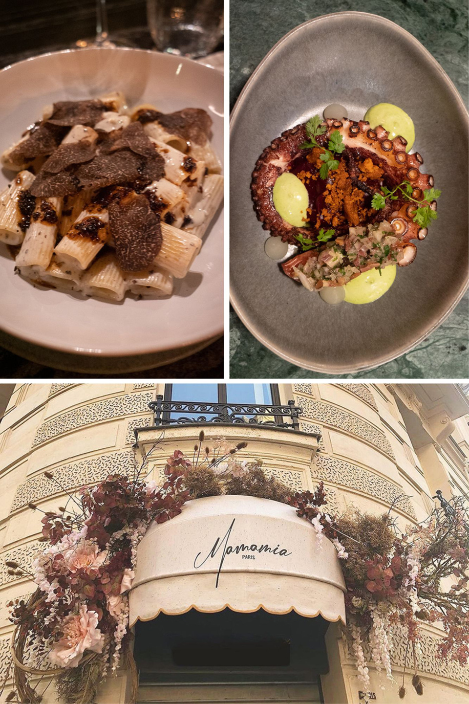 1/Rigatoni à la truffe et jus de veau truffé 2/Poulpe grillé, crémeux de betteraves à la coriande 3/ Immersion dans la salle de restaurant aux couleurs chaudes des fleurs séchées @ Droits réservés 1/Rigatoni à la truffe et jus de veau truffé 2/Poulpe grillé, crémeux de betteraves à la coriande 3/ Immersion dans la salle de restaurant aux couleurs chaudes des fleurs séchées @ Droits réservés