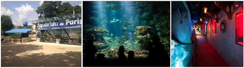 Afin de faire découvrir l'ïle de Rodrigues aux Parisiens, et à l'occasion de la fête des mères, le 30 et 31 mai l'office de tourisme de l'ïle fait son show à l'Aquarium de Paris. (Crédit photos DR)