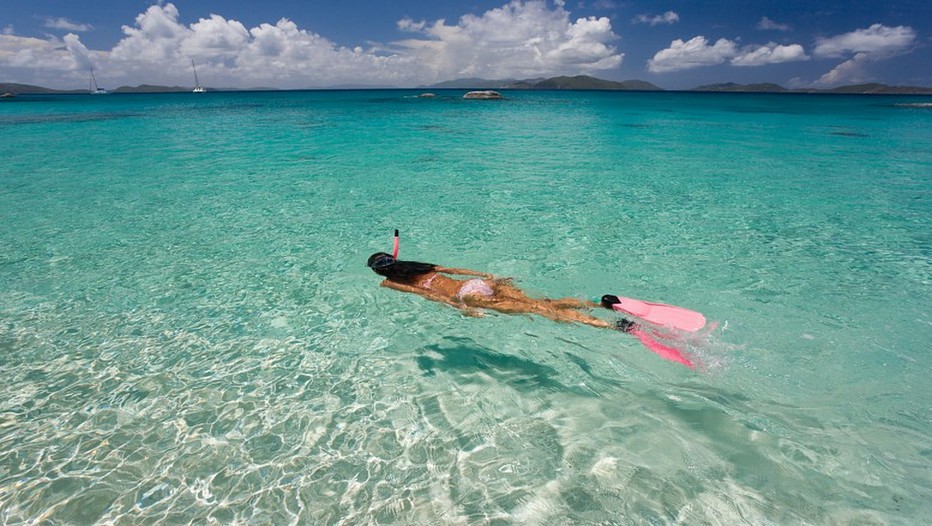 Plongée dans les eaux cristallines de l'Ile de Rodrigues (océan Indien). Justement  l’île Rodrigues fait du 30 au 31 mai son show à l’Aquarium de Paris au milieu des algues et des coraux. Objectif ? Mieux faire connaître la destination au public français.  (Crédit photo DR)