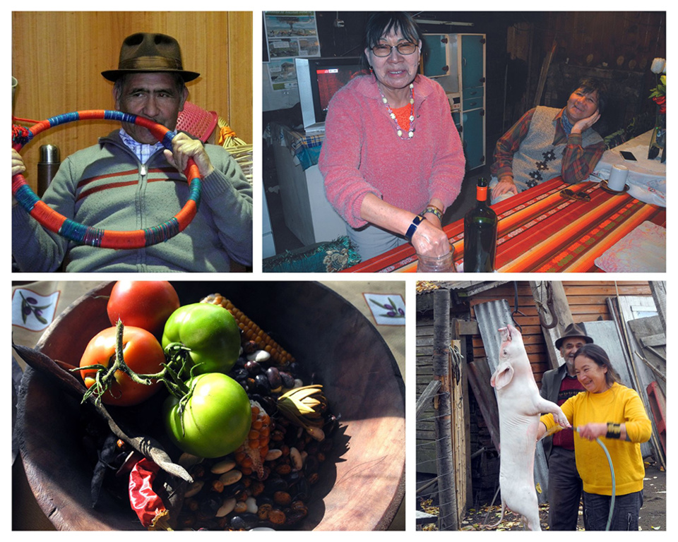 Ethnotourisme en Araucanie, bienvenue chez les Mapuche !