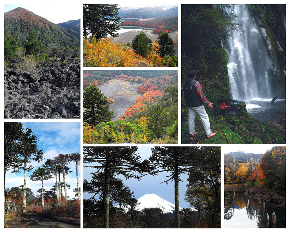 1/ Roches de lave dans le Conguillio 2/ L'araucaria roi 3/ Parc National Conguillio Serra Nevada 4/ Sur le chemin de la Sierra Nevada au Parc Conguillio 5/ Vue sur le volcan Llaima 6/ En communion avec la cascade de Taitaiko Melipeuco 7/ Parc national Conguillio La lagune Arcoiris @ Claude Vautrin