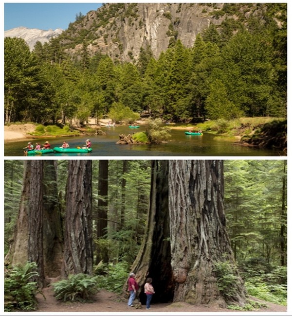 Photo du haut : Yosemite Descente en canoé de la rivière Merced © DR ; Photo du bas : Les séquoias géants de Yosemite © DR Photo du haut : Yosemite Descente en canoé de la rivière Merced © DR ; Photo du bas : Les séquoias géants de Yosemite © DR