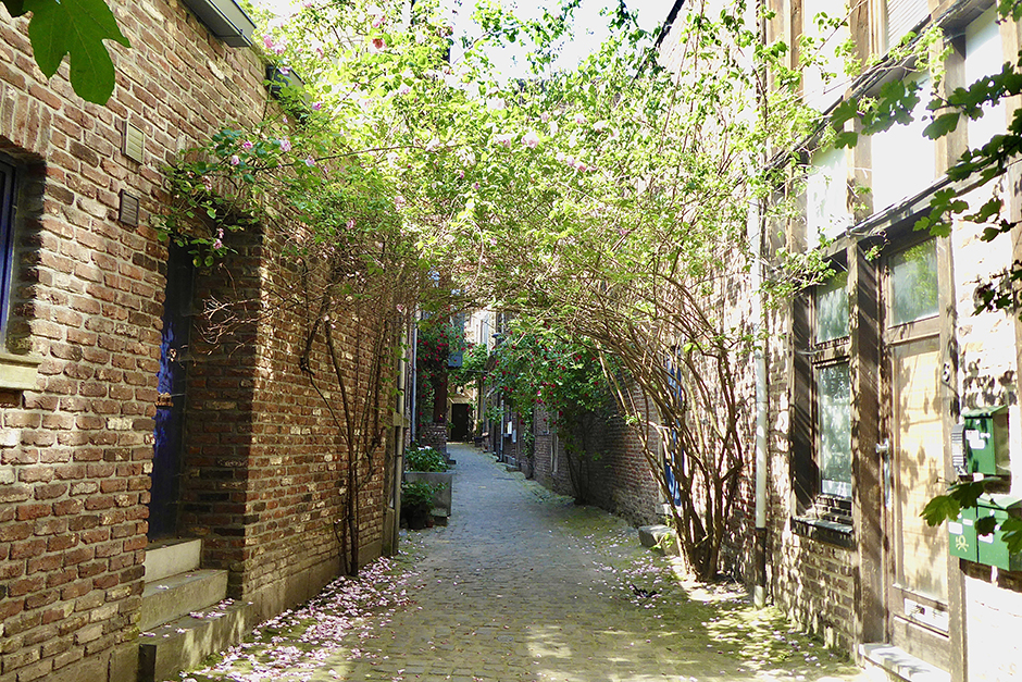 Impasse de l'Ange quartier Hors-Château © Catherine Gary Impasse de l'Ange quartier Hors-Château © Catherine Gary