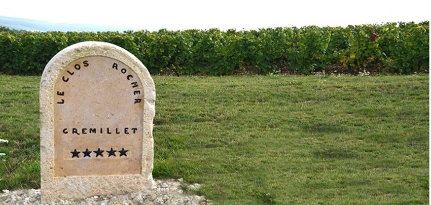 le Clos Rocher, une vigne d’exception d’1,4 ha planté en pinot noir, le cépage emblématique de cette maison. Gremillet. Un Clos qui descend en pente douce mais constante vers la Vallée des Riceys, la plus grande commune viticole de Champagne. © DR le Clos Rocher, une vigne d’exception d’1,4 ha planté en pinot noir, le cépage emblématique de cette maison. Gremillet. Un Clos qui descend en pente douce mais constante vers la Vallée des Riceys, la plus grande commune viticole de Champagne. © DR