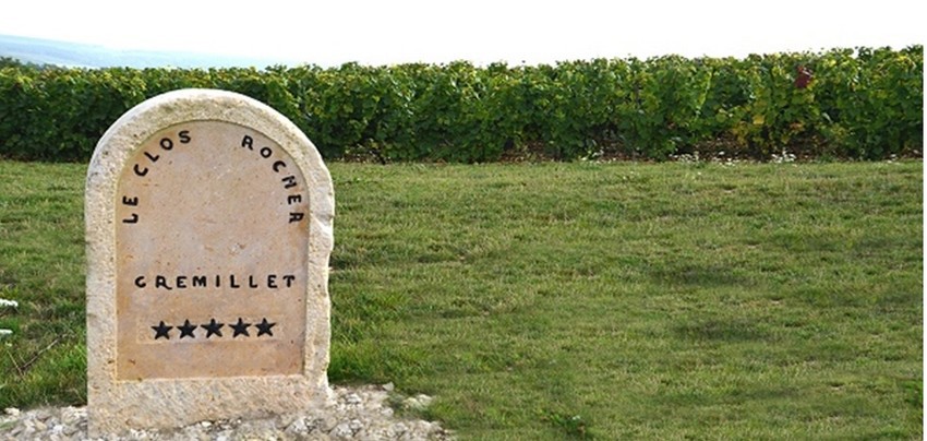 le Clos Rocher, une vigne d’exception d’1,4 ha planté en pinot noir, le cépage emblématique de cette maison. Gremillet. Un Clos qui descend en pente douce mais constante vers la Vallée des Riceys, la plus grande commune viticole de Champagne. © DR