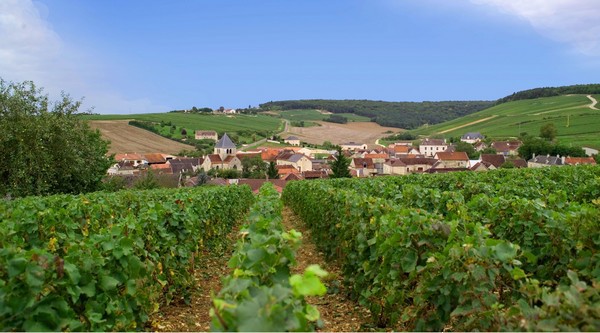 Balnot s/ Laignes,  (village limitrophe aux Riceys) où se trouve le Domaine Gremillet. A découvrir sur la Route du Champagne  © DR
