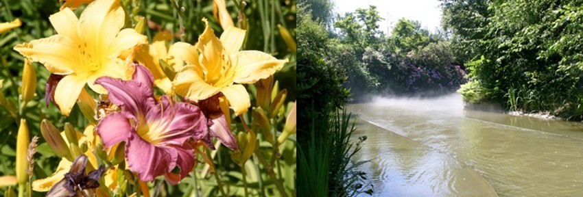 C'est une réelle réussite environnementale car une fois à l’intérieur du parc, on oublie totalement l’extérieur.. © Richard Bayon C'est une réelle réussite environnementale car une fois à l’intérieur du parc, on oublie totalement l’extérieur.. © Richard Bayon