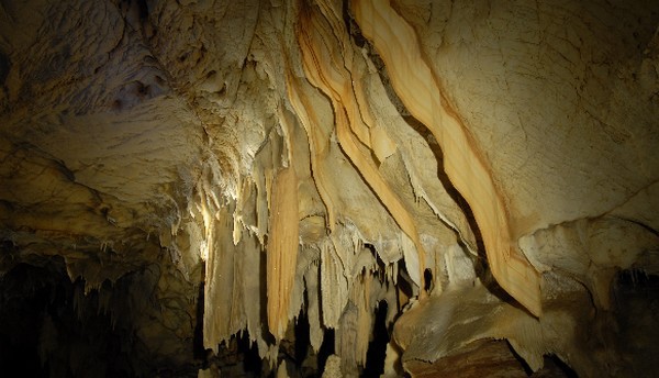 Un décor tout en fragilité et délicatesse. © DR Un décor tout en fragilité et délicatesse. © DR