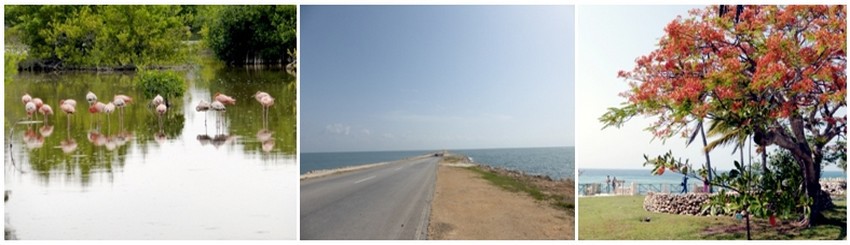 1/ Lagune Jardines del Rey © Catherine Gary; 2/ On accède à Cayo Guillermo par un terre plain de 17km © Catherine Gary ; 3/ Playa Santa Lucia © Catherine Gary