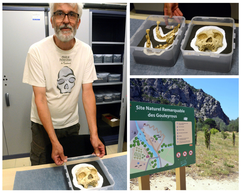 Christian Perrenoud est géo-archéologue au Centre européen de recherches préhistoriques de Tautavel, directeur des fouilles à la Caune de l'Arago. Il nous présente les restes authentiques crane et mandibule de l'Homme de Tautavel @ David Raynal. Christian Perrenoud est géo-archéologue au Centre européen de recherches préhistoriques de Tautavel, directeur des fouilles à la Caune de l'Arago. Il nous présente les restes authentiques crane et mandibule de l'Homme de Tautavel @ David Raynal.