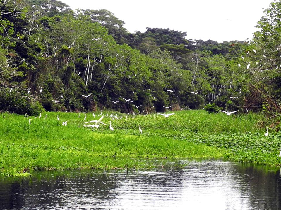 Aucune découverte n’étant taboue, une première sortie nocturne ouvre plus encore l’éventail des contacts inédits avec la faune locale Claude Vautrin Aucune découverte n’étant taboue, une première sortie nocturne ouvre plus encore l’éventail des contacts inédits avec la faune locale Claude Vautrin