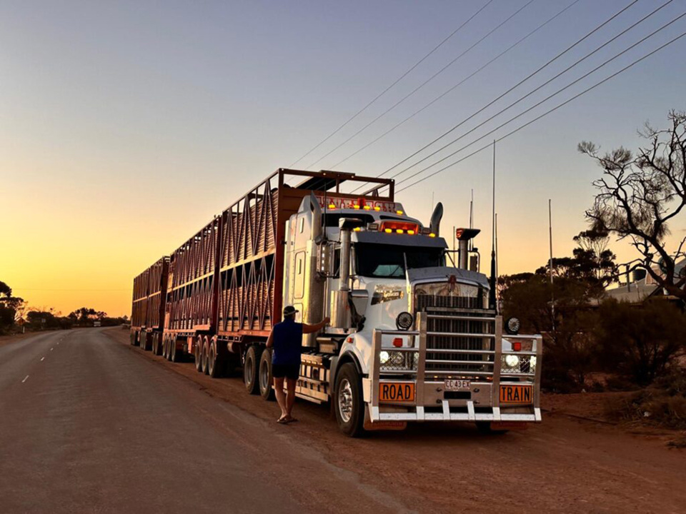 Rencontre insolite sur les routes du bush @ Patrick Cros Rencontre insolite sur les routes du bush @ Patrick Cros
