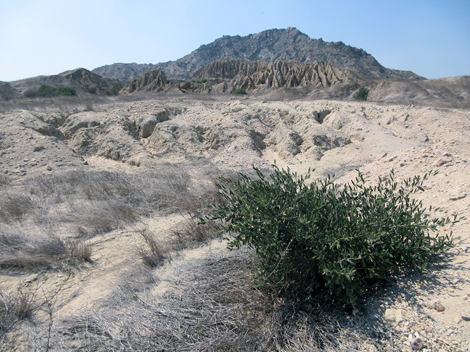 -	Tucume Vallée des Pyramides @ Claude Vautrin -	Tucume Vallée des Pyramides @ Claude Vautrin
