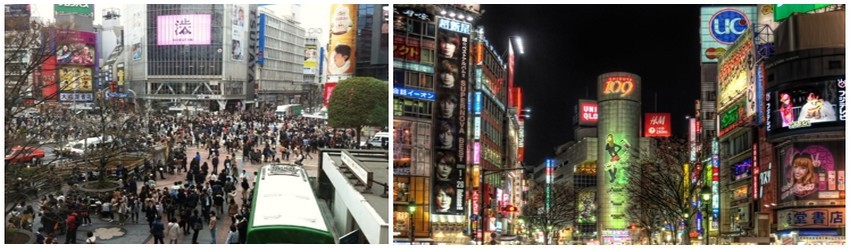 Tokyo la capitale .Entre l’une des gares les plus fréquentées de la ville et des rues commerçantes animées, des milliers de touristes et locaux se croisent jusque tard dans la nuit. (Crédit photos Mathis Cros)