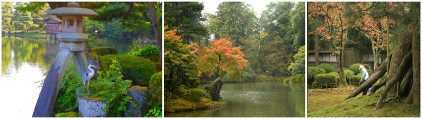 le Kenroku-en, jardin de la période Edo  s’intègre dans un vaste espace vert au centre de la ville. (Crédit Photos Mathis Cros)