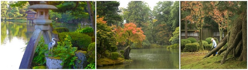 le Kenroku-en, jardin de la période Edo  s’intègre dans un vaste espace vert au centre de la ville. (Crédit Photos Mathis Cros) le Kenroku-en, jardin de la période Edo  s’intègre dans un vaste espace vert au centre de la ville. (Crédit Photos Mathis Cros)