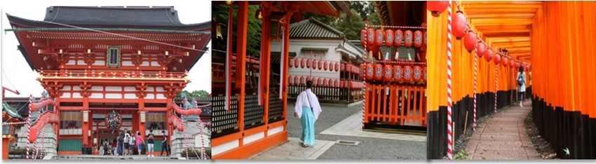 le Fushimi Inari-Taisha Shrine, classé en 2015 « site le plus populaire du Japon auprès des touristes étrangers » par Tripadvisor, qui déroule ses 4 kilomètres de torii rouge © Mathis Cros. le Fushimi Inari-Taisha Shrine, classé en 2015 « site le plus populaire du Japon auprès des touristes étrangers » par Tripadvisor, qui déroule ses 4 kilomètres de torii rouge © Mathis Cros.