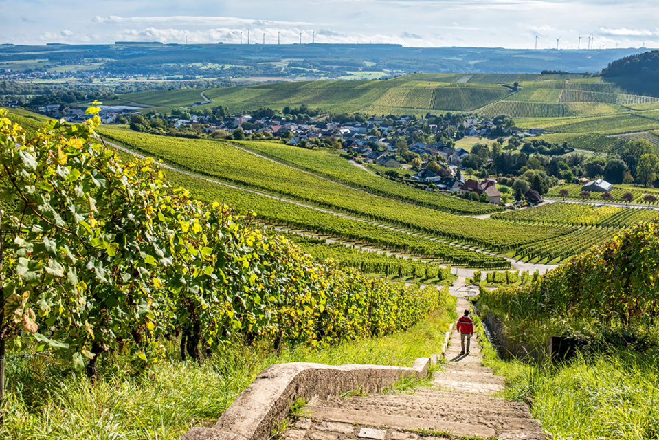 Les coteaux de vignobles © Andre Schösser-Visit Luxembourg Les coteaux de vignobles © Andre Schösser-Visit Luxembourg