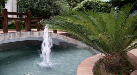 Le Prestige Hôtel c'est la vue plongeante sur une petite jungle, au cœur de la capitale Albanaise. © Richard Bayon. Le Prestige Hôtel c'est la vue plongeante sur une petite jungle, au cœur de la capitale Albanaise. © Richard Bayon.