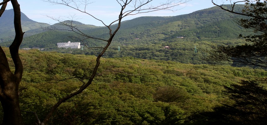 Hakone est une ancienne étape de Tokaido, route historique de la période d’Edo (1603-1868) qui reliait Edo (aujourd’hui Tokyo) à Kyoto. © Mathis Cros. Hakone est une ancienne étape de Tokaido, route historique de la période d’Edo (1603-1868) qui reliait Edo (aujourd’hui Tokyo) à Kyoto. © Mathis Cros.