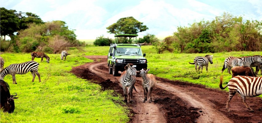 Offre Club Med d'un circuit en Tanzanie avec safari © DR.