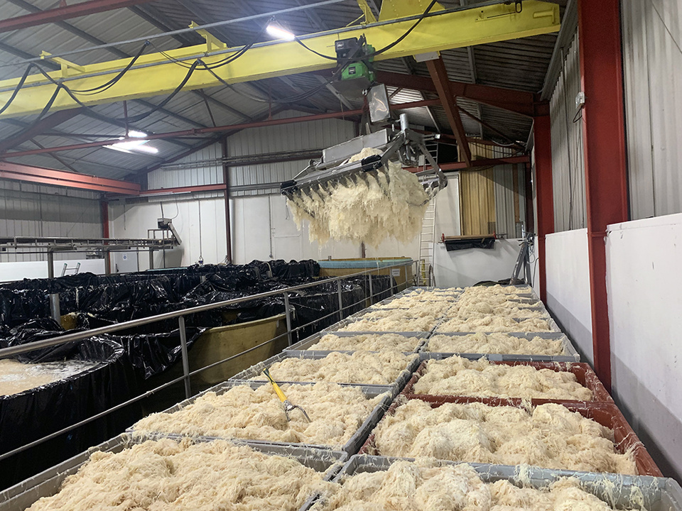 La sürkrôut (littéralement le « chou aigre ») @ Jean-Luc Pechinot La sürkrôut (littéralement le « chou aigre ») @ Jean-Luc Pechinot