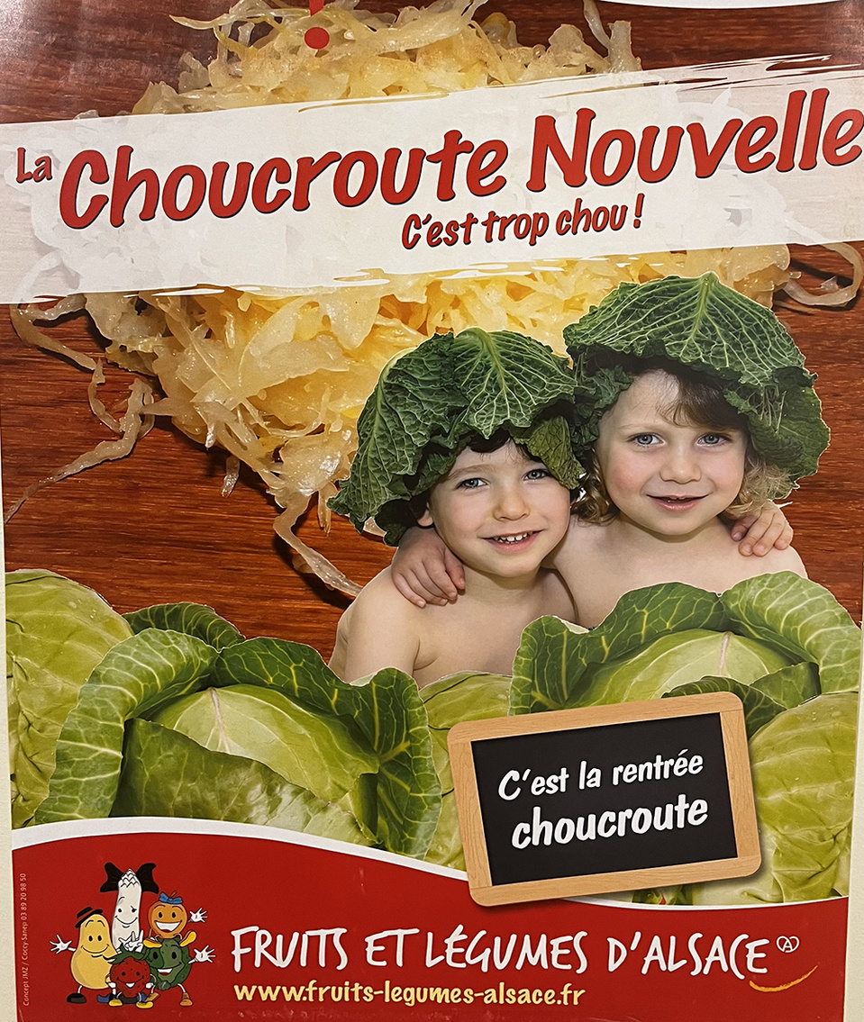 Choucroute d’Alsace : une ambassadrice du goût Choucroute d’Alsace : une ambassadrice du goût