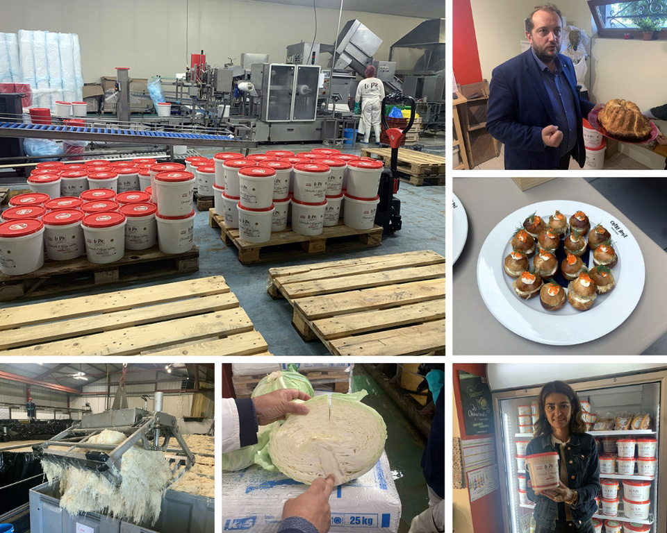 Dans la famille Muller, la culture du chou et la production de choucroute sont une tradition depuis 5 générations @ Jean-Luc Pechinot et Richard Bayon Dans la famille Muller, la culture du chou et la production de choucroute sont une tradition depuis 5 générations @ Jean-Luc Pechinot et Richard Bayon