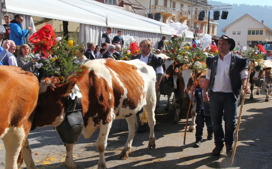 Désalpe à Planfayon. Les armaillis portent le costume traditionnel  © André Degon